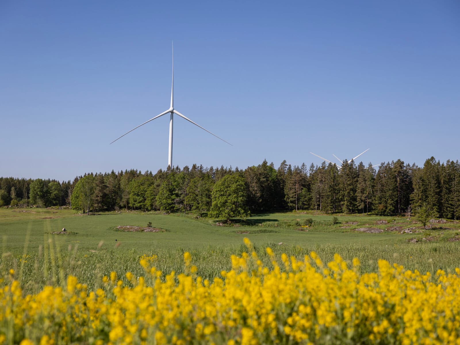 Vindkraftverk Eurowind Energy