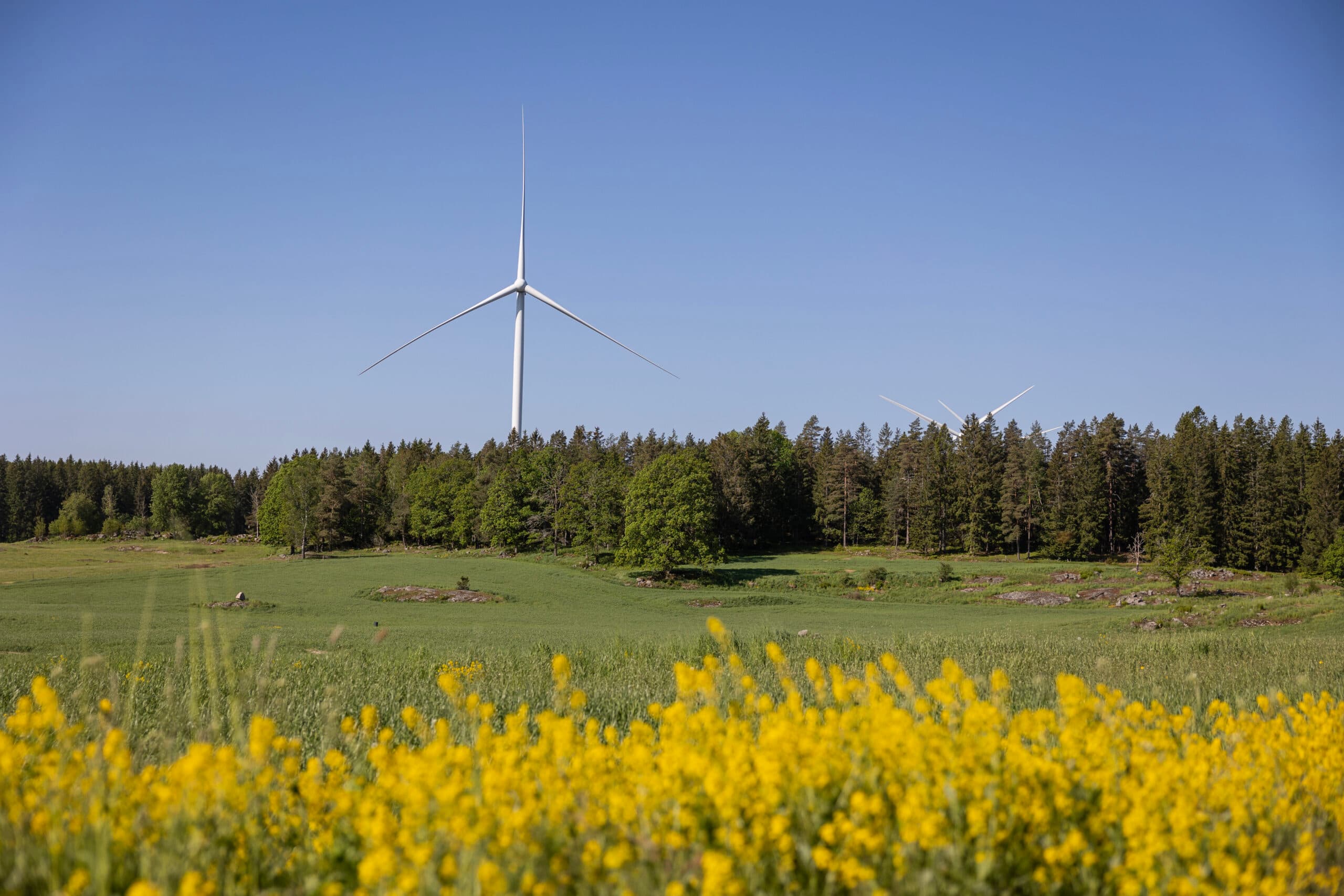 Vindkraftverk Eurowind Energy