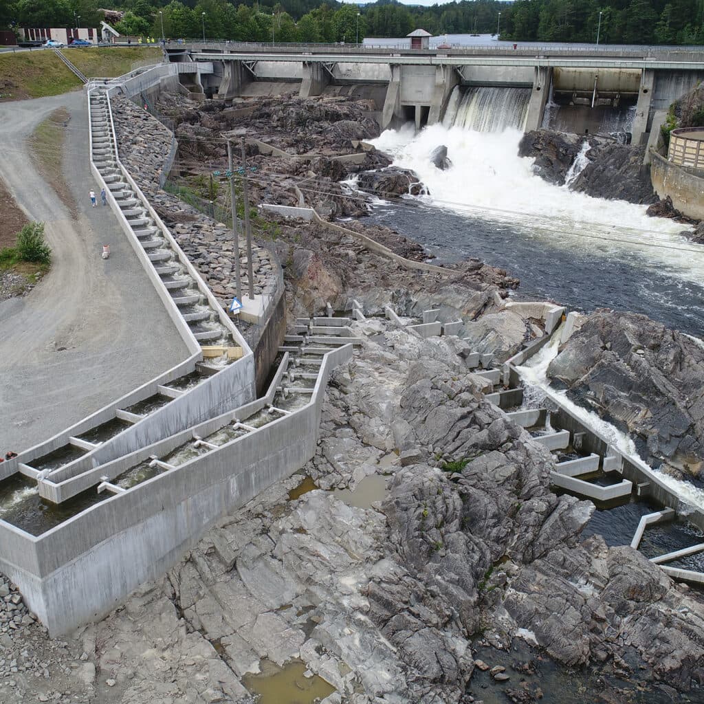 Laxtrappa i Rygene efter åtgärd